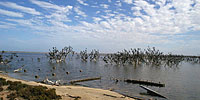 Water Cluster promotional image