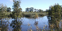 Water Cluster promotional image