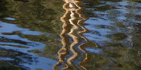 Water Cluster promotional image